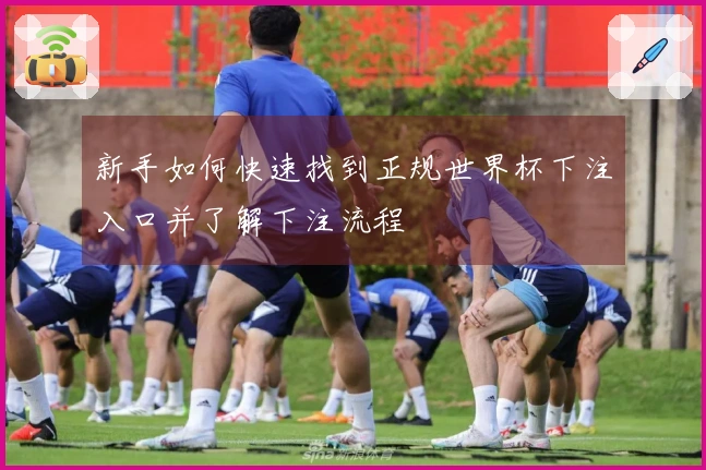 新手如何快速找到正规世界杯下注入口并了解下注流程
