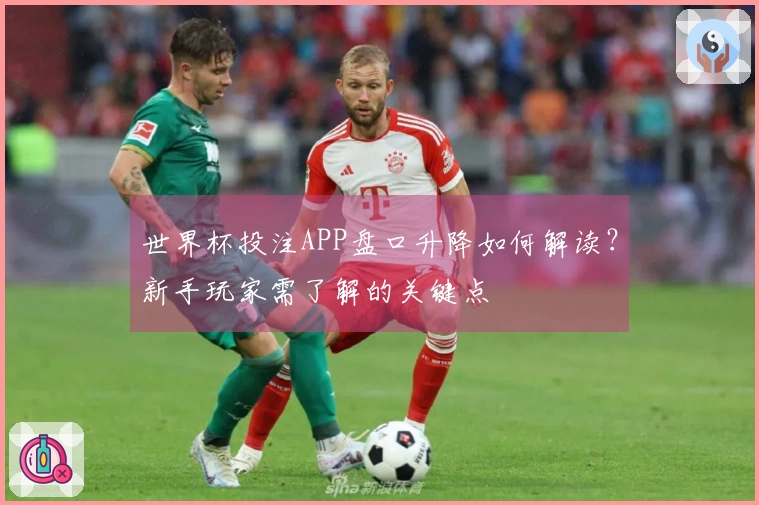 世界杯投注APP盘口升降如何解读？新手玩家需了解的关键点