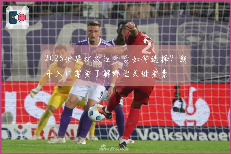 2026世界杯投注平台如何选择？新手入门需要了解哪些关键要素