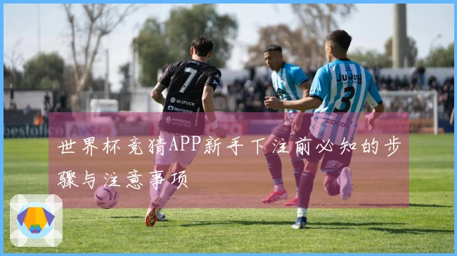 世界杯竞猜APP新手下注前必知的步骤与注意事项