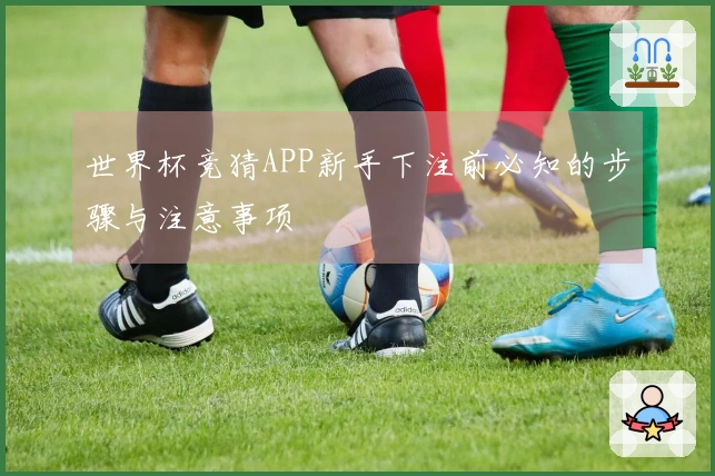 世界杯竞猜APP新手下注前必知的步骤与注意事项