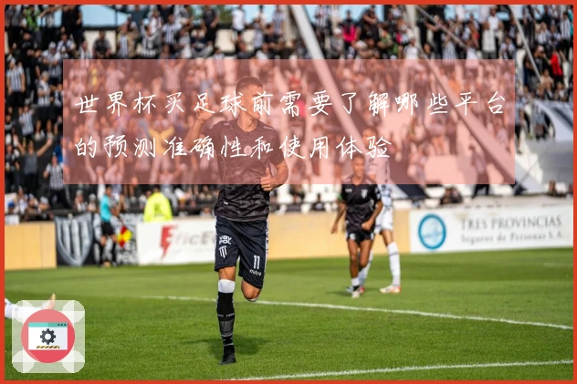 世界杯买足球前需要了解哪些平台的预测准确性和使用体验