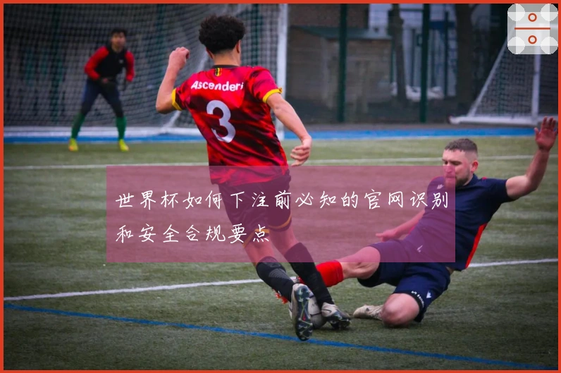 世界杯如何下注前必知的官网识别和安全合规要点